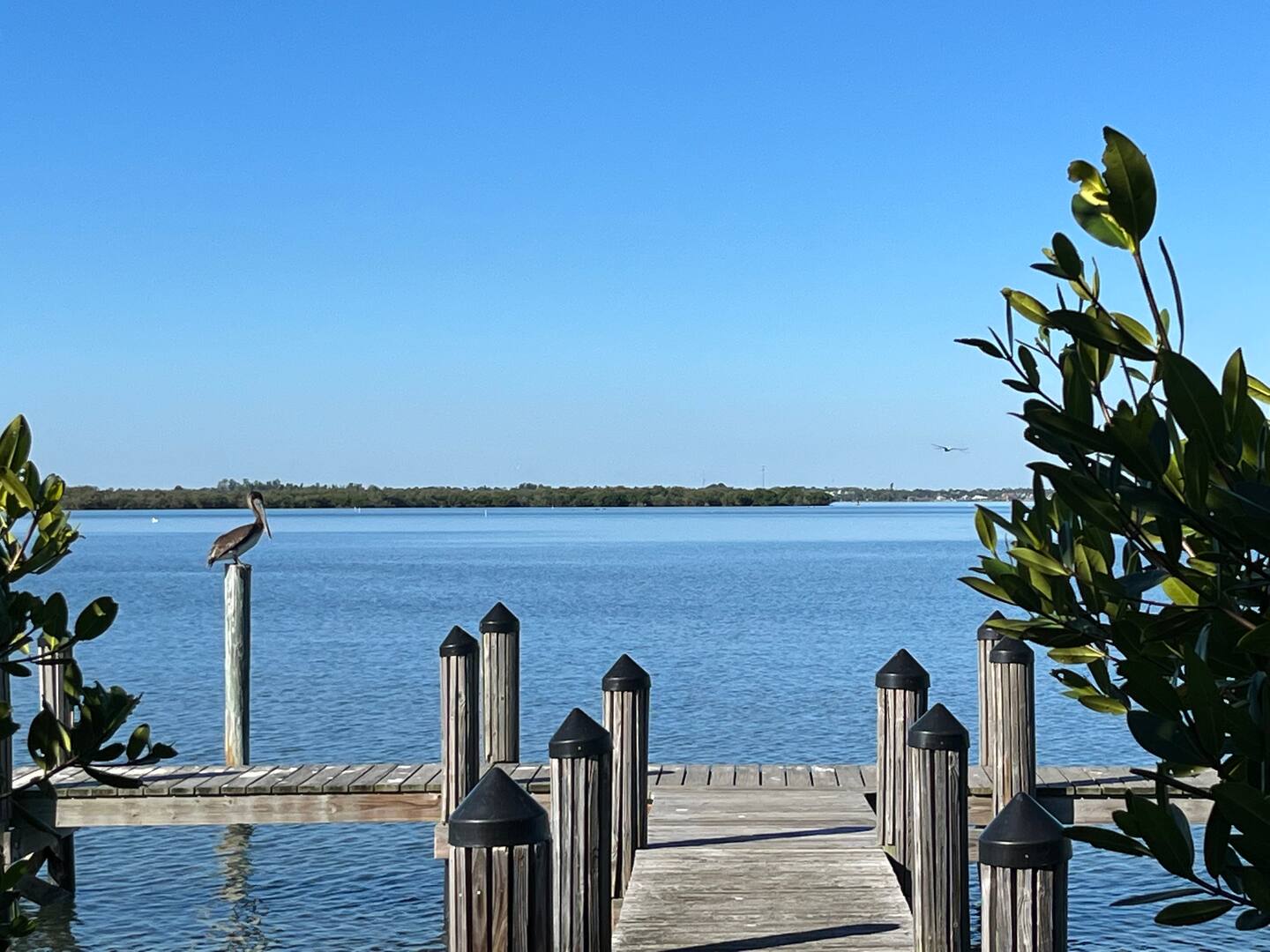 Private dock