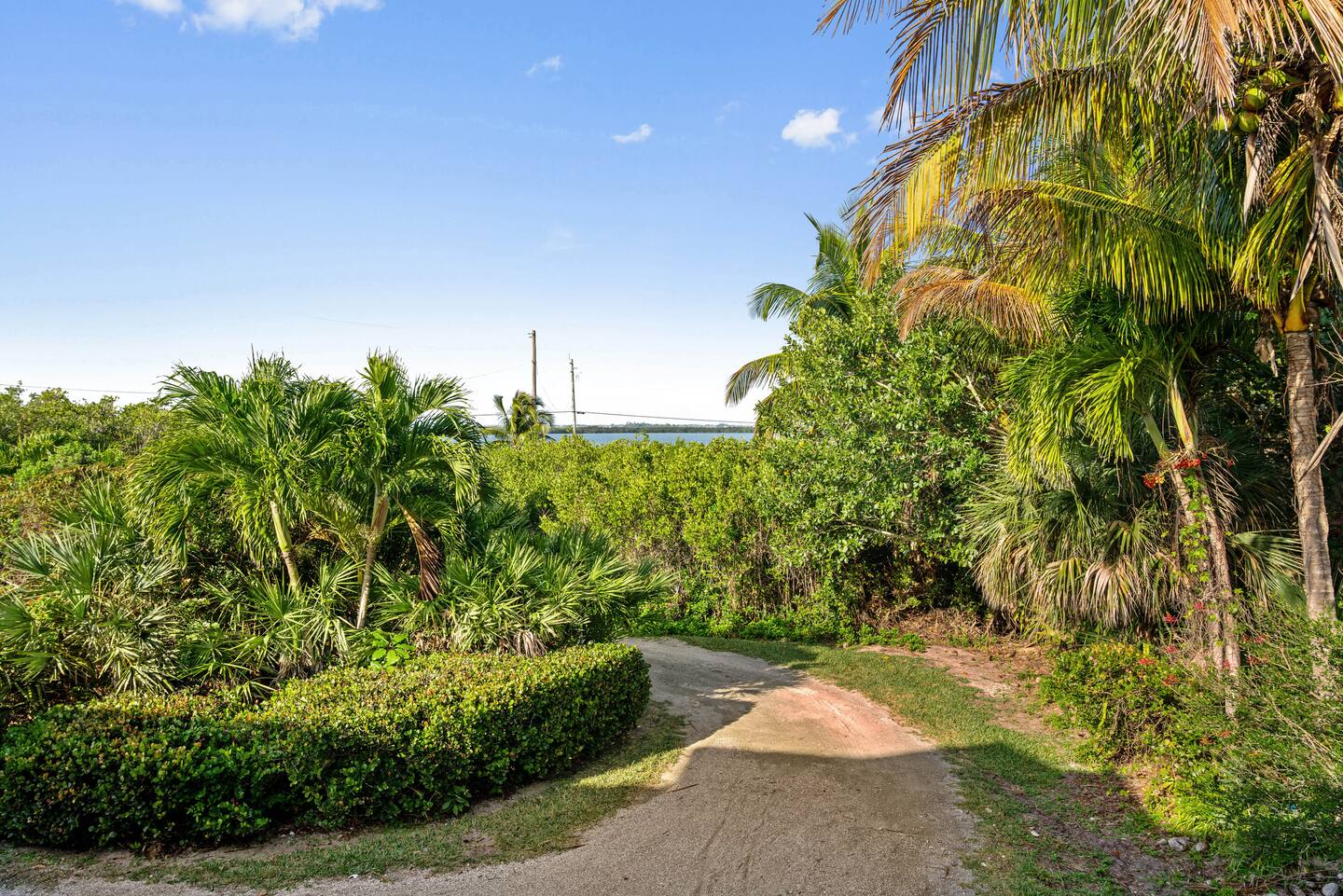 Driveway